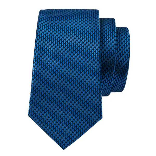 Classy Men Blue Hexagon Silk Necktie