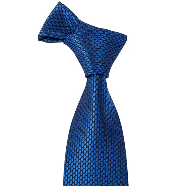 Classy Men Blue Hexagon Silk Necktie