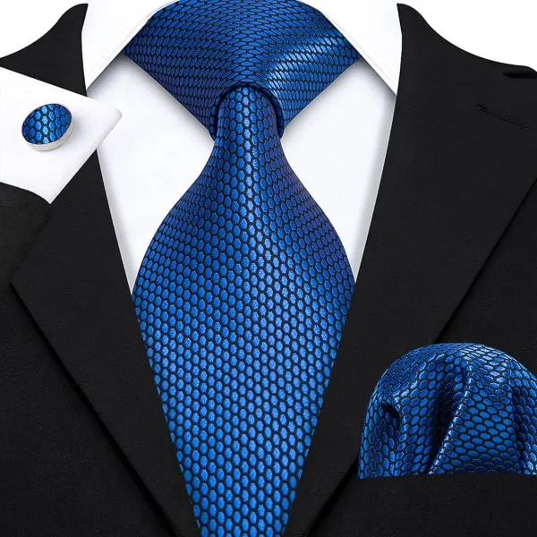 Classy Men Blue Hexagon Silk Necktie