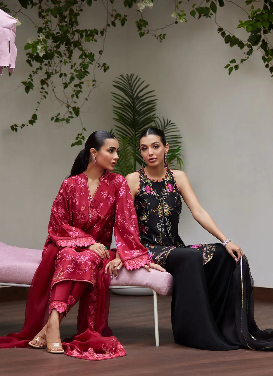 Dinara Scarlett Embroidered Shirt and Dupatta