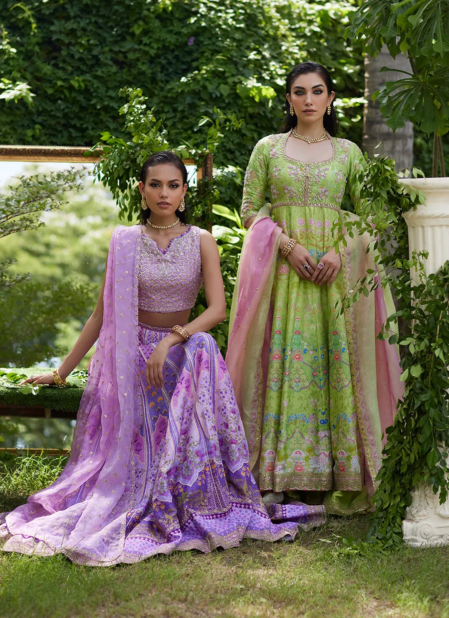 Ferazia Embellished Lehenga Choli