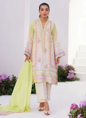 Pear Ombrè Shirt and Dupatta